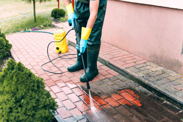 Best Roof Pressure Washing  in Englishtown, NJ