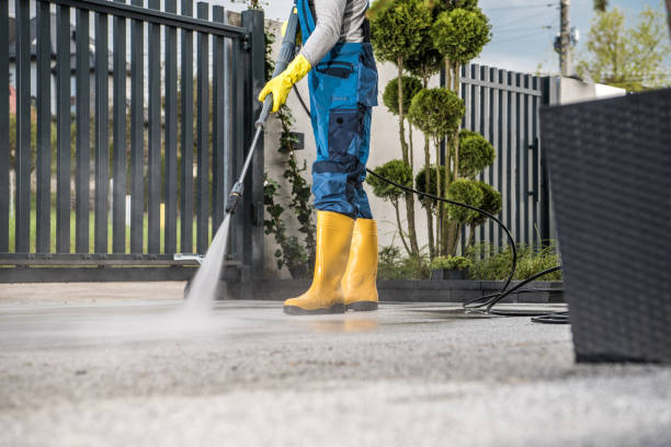 Best Roof Power Washing Services  in Englishtown, NJ